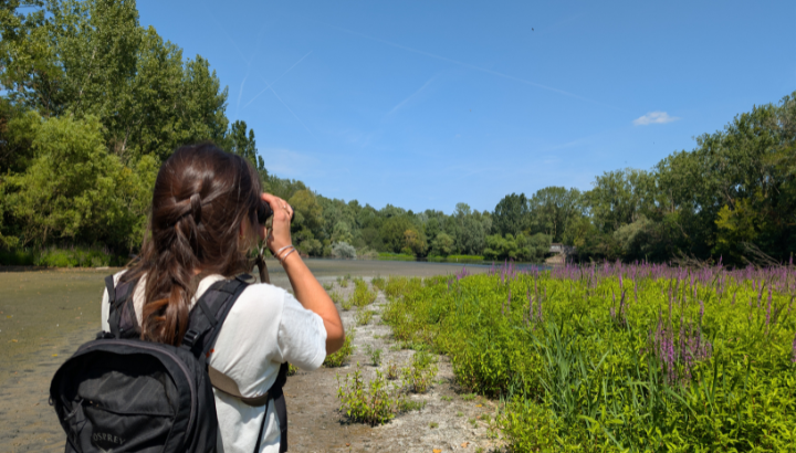 Les inventaires amphibiens de la RNR du Bassin de la Bièvre